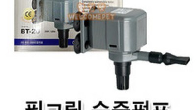 ✨필그린수중펌프✨ 초특가 득템 후기! 안 사면 손해😭
