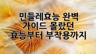 민들레효능 완벽 가이드: 몰랐던 효능부터 부작용까지! 🌼